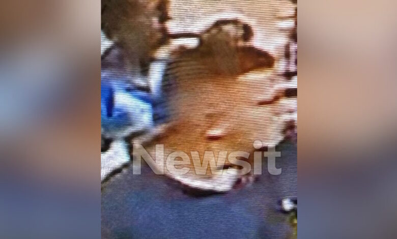 Προφυλακίστηκε-ο-17χρονος-για-τις-αρπαγές-μωρών-σε-Πειραιά-και-Ομόνοια