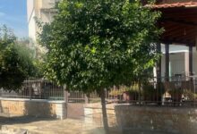 Τύρναβος:-Καταδικάστηκε-ο-88χρονος-που-πυροβόλησε-τον-18χρονο-–-«Ήθελα-να-τους-φοβίσω»