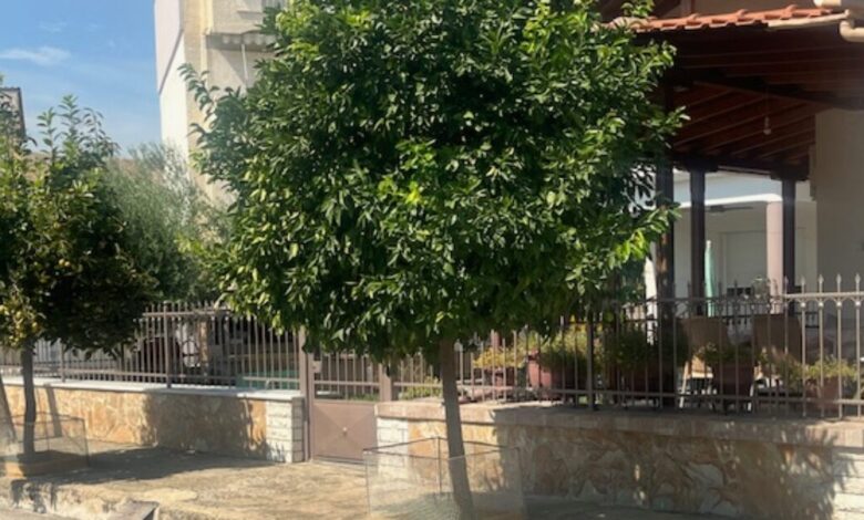 Τύρναβος:-Καταδικάστηκε-ο-88χρονος-που-πυροβόλησε-τον-18χρονο-–-«Ήθελα-να-τους-φοβίσω»