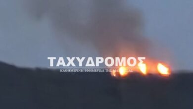 Φωτιά-σε-λόφο-έξω-από-τον-Βόλο-–-Ισχυρές-δυνάμεις-στο-σημείο