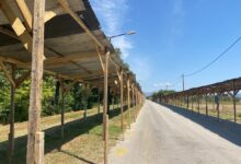 Τελική-ευθεία-για-το-Τρικαλινό-Παζάρι-–-Συναυλίες-και-ψυχαγωγικά-παιχνίδια