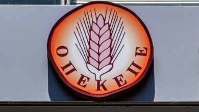 Θεσσαλία:-Ζευγάρι-έστησε-κομπίνα-με-“μαϊμού”-ζώα-και-κλεμμένες-σφραγίδες