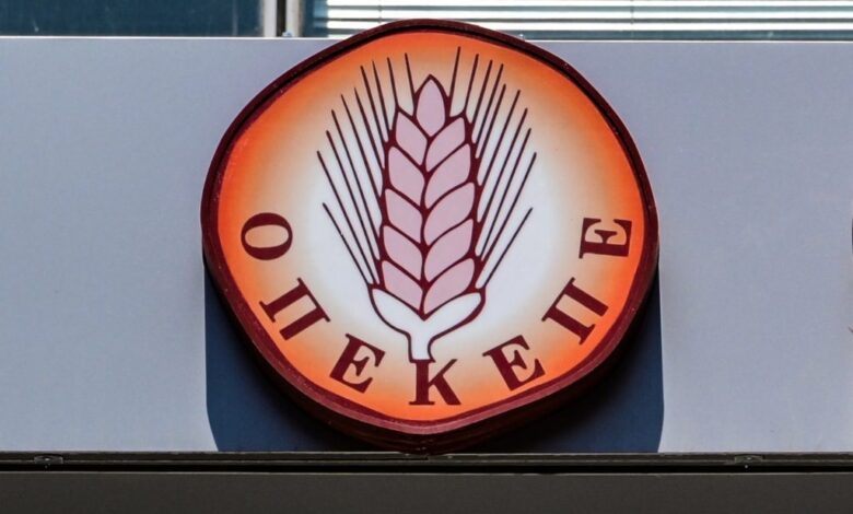 Θεσσαλία:-Ζευγάρι-έστησε-κομπίνα-με-“μαϊμού”-ζώα-και-κλεμμένες-σφραγίδες