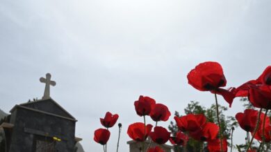 Εύβοια:-Του-άνοιξαν-το-κεφάλι-με-φτυάρι-μέσα-σε-νεκροταφείο-–-Ελεύθεροι-οι-συλληφθέντες