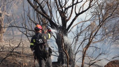 Φωτιά-στο-Συκάμινο-Ωρωπού-–-Καίει-μέσα-σε-χαράδρα