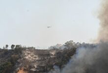 Δύο-συλλήψεις-και-πρόστιμα-για-φωτιά-στην-Τρίπολη