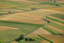 Δεσμεύτηκε-η-περιουσία-της-Σεμερτζίδου-και-του-Τρικαλινού-συντρόφου-της
