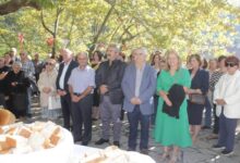 Δέση-Τρικάλων:-Πανηγυρικός-εορτασμός-Αγίου-Βησσαρίωνος-με-πλήθος-κόσμου