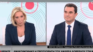 Σκρέκας:-“Η-ΝΔ-παραμένει-σταθερή-στις-αξίες-της”