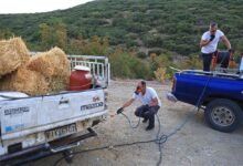 kουρέτας:-17-απολυμαντικοί-σταθμοί-σε-όλη-τη-Θεσσαλία-για-την-ευλογιά