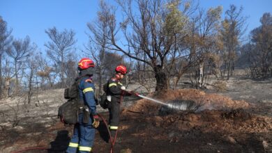 Φωτιά-στο-Μαρκόπουλο:-Ένας-άνδρας-συνελήφθη-για-εμπρησμό