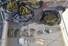 Τρίκαλα:-Σύλληψη-ημεδαπού-με-πάνω-από-8-κιλά-κάνναβης-και-1.600-ευρώ