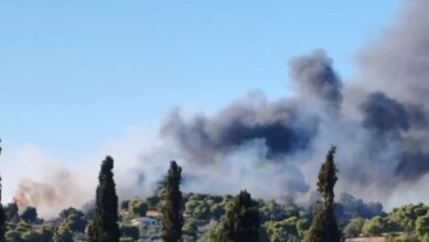 Φωτιά-στην-Αργολίδα-–-Μήνυμα-από-το-112-«παραμείνετε-σε-ετοιμότητα»