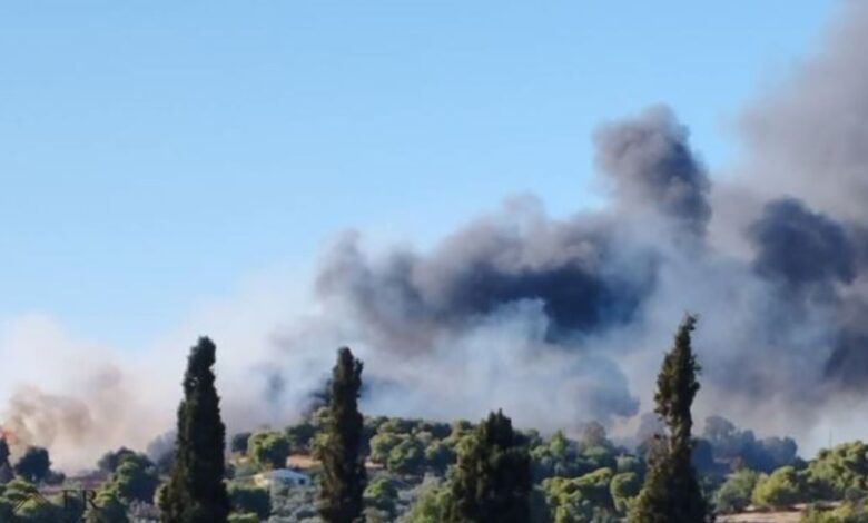 Φωτιά-στην-Αργολίδα-–-Μήνυμα-από-το-112-«παραμείνετε-σε-ετοιμότητα»