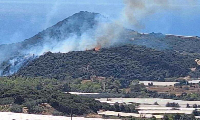 Φωτιά-στο-Μυρτόφυτο-Καβάλας-–-Σηκώθηκαν-2-αεροπλάνα-και-1-ελικόπτερο