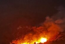 Φωτιά-στην-Πάρνηθα:-Από-έκρηξη-σε-πυλώνα-του-ΔΕΔΔΗΕ-ξέσπασαν-οι-φλόγες-–-Δείτε-βίντεο