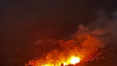 Φωτιά-στην-Πάρνηθα:-Από-έκρηξη-σε-πυλώνα-του-ΔΕΔΔΗΕ-ξέσπασαν-οι-φλόγες-–-Δείτε-βίντεο