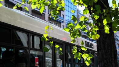 Επίθεση-σε-οδηγό-λεωφορείου:-«Του-έδωσε-μπουνιά,-τον-έστειλε-στο-νοσοκομείο-και-έφυγε»-λέει-ο-γγ-του-ΟΑΣΑ