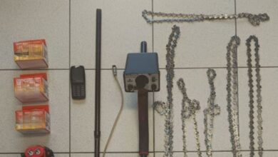 Θεσσαλονίκη:-Χειροπέδες-σε-62χρονο-για-παράνομη-υλοτομία-–-Τον-Νοέμβριο-του-2022-έκοβε-ξύλα-μαζί-με-έναν-51χρονο-που-είχε-βρεθεί-νεκρός-στα-Κερδύλια-Όρη