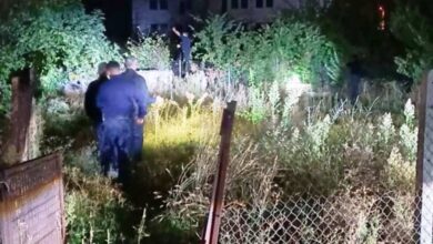 Αρκούδα-εμφανίστηκε-στην-οδό-Μαβίλη-στα-Τρίκαλα