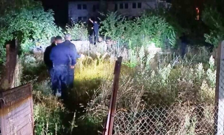 Αρκούδα-εμφανίστηκε-στην-οδό-Μαβίλη-στα-Τρίκαλα