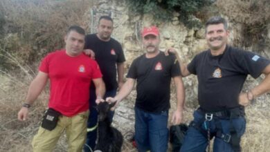 Χανιά:-Κατσικάκι-έπεσε-σε-στέρνα-7-μέτρων-–-Το-έσωσε-η-Πυροσβεστική