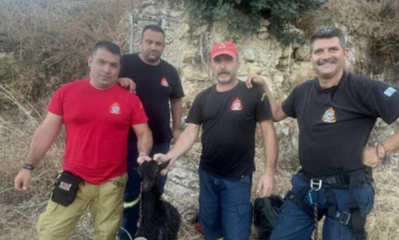 Χανιά:-Κατσικάκι-έπεσε-σε-στέρνα-7-μέτρων-–-Το-έσωσε-η-Πυροσβεστική