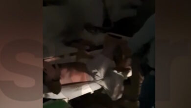 Ελευσίνα:-Αστυνομικοί-έπιασαν-διακινητή-ναρκωτικών-«στον-ύπνο»-–-Έκρυβε-σχεδόν-1-κιλό-κάνναβης-σε-γυάλινα-βαζάκια