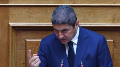 Ο-Λευτέρης-Αυγενάκης-απαντά-στον-Στέφανο-Κασσελάκη-με-το-Ε9-και-δίνει-ραντεβού-μαζί-του-στα-δικαστήρια