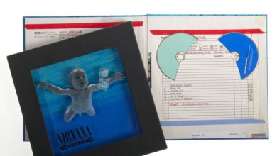 Το-«μωρό»-των-nirvana-έχασε-τη-δίκη-για-το-εξώφυλλο-του-άλμπουμ-nevermind:-«Δεν-αποτελεί-σεξουαλική-απεικόνιση»