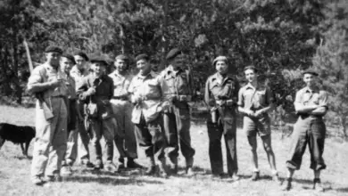 Ισπανία:-Την-αναγνώριση-των-τελευταίων-εν-ζωή-ανταρτών-κατά-του-Φρανκισμού-ζητά-το-κοινοβούλιο