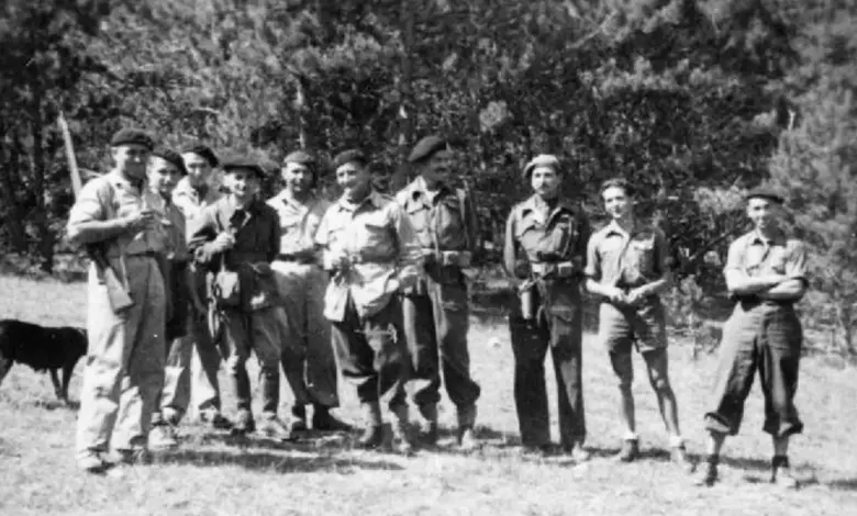 Ισπανία:-Την-αναγνώριση-των-τελευταίων-εν-ζωή-ανταρτών-κατά-του-Φρανκισμού-ζητά-το-κοινοβούλιο
