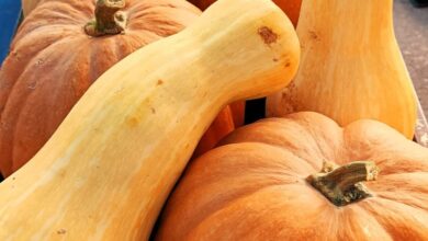Δύο-φθινοπωρινά-πορτοκαλί-superfoods-που-προστατεύουν-τον-οργανισμό-σαν-«ασπίδα»