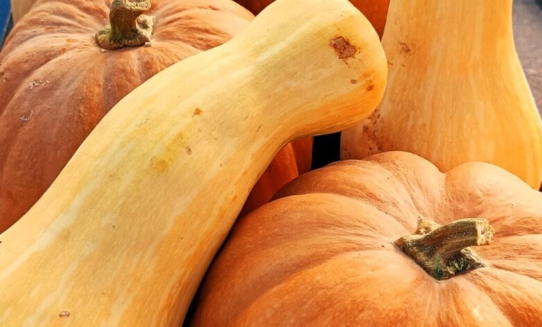 Δύο-φθινοπωρινά-πορτοκαλί-superfoods-που-προστατεύουν-τον-οργανισμό-σαν-«ασπίδα»