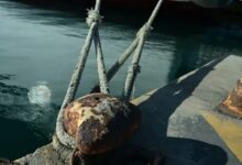 Θάσος:-Νέο-περιστατικό-με-ΑμεΑ-να-ταξιδεύει-στο-γκαράζ-ferry-boat-–-«Είναι-απάνθρωπο,-επικίνδυνο-και-παράνομο»