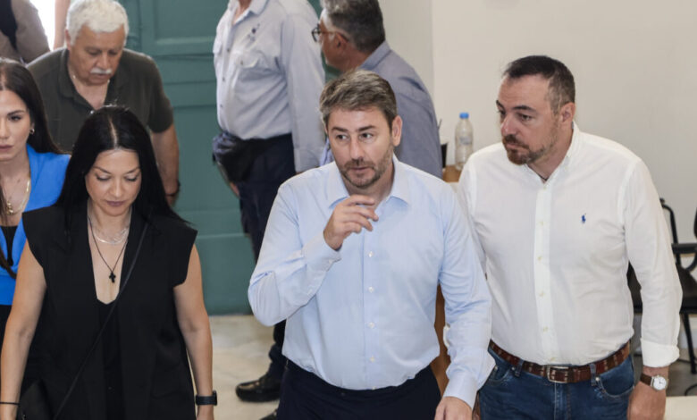 «Μπαταριά»-από-Νάντια-Γιαννακοπούλου-σε-Νίκο-Ανδρουλάκη:-«Καλό-είναι-να-μην-βάζουμε-τέτοιου-είδους-αυτογκόλ»