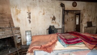 ΟΠΕΚΕΠΕ:-Καταβολή-54,3-εκατομμυρίων-ευρώ-σε-42.522-δικαιούχους-για-ζωοτροφές-και-ζημιές-από-την-κακοκαιρία-daniel
