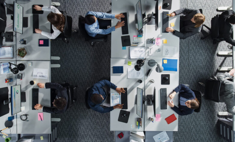 ΔΥΠΑ:-183-εργαστήρια-συμβουλευτικής-τον-Νοέμβριο