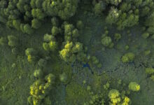 Επένδυση-στη-βιωσιμότητα-και-την-ασφάλεια-του-Πεντελικού-Όρους-από-την-helleniq-energy