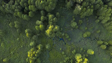 Επένδυση-στη-βιωσιμότητα-και-την-ασφάλεια-του-Πεντελικού-Όρους-από-την-helleniq-energy