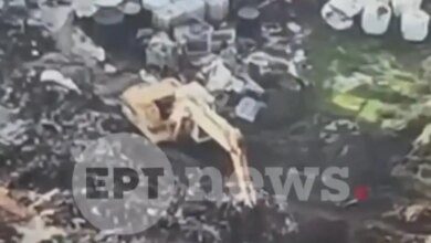 Πρέβεζα:-Βίντεο-από-τη-στιγμή-που-θάβουν-ζωικά-απόβλητα-στον-ποταμό-Λούρο-–-Ενταφιάστηκαν-παράνομα-πάνω-από-200-τόνοι-υπολειμμάτων