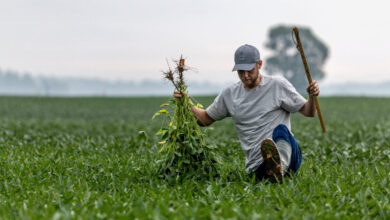 Η-Κίνα-θα-αγοράσει-12-εκατομμύρια-τόνους-σόγιας-φέτος,-λέει-ο-Μπέσεντ