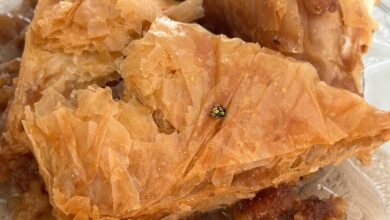 Γιαγιά,-δεν-το-τρώω…-έχει-σφήκα-μέσα!