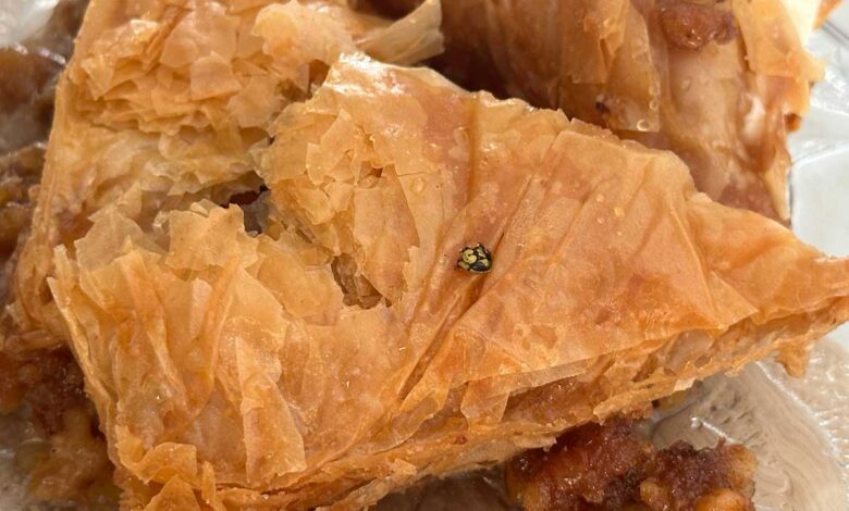 Γιαγιά,-δεν-το-τρώω…-έχει-σφήκα-μέσα!