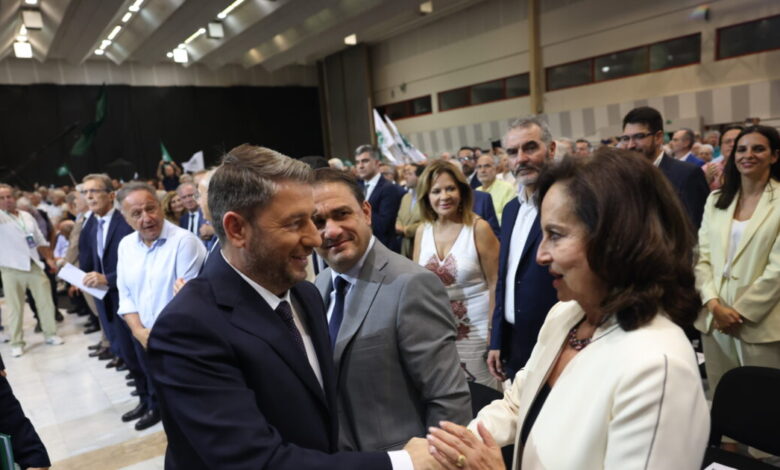 Γερουλάνος-και-Διαμαντοπούλου-για-τις-«γκάφες»-Ανδρουλάκη:-«Ισχυρός-αρχηγός-αλλά-υπάρχουν-ζητήματα-στην-εικόνα-του»