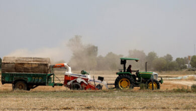 «Μπόνους-συνέπειας»-στους-αγροτο-–-κτηνοτρόφους:-Έρχεται-by-pass-από-τη-βασική-στη-συνδεδεμένη-χρηματοδότηση