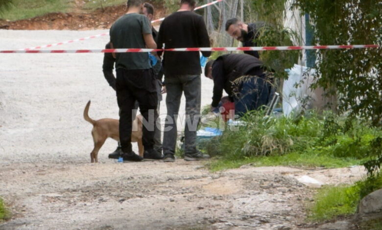 Σαλαμίνα:-Με-μαχαιριές-στα-χέρια-η-75χρονη-που-δολοφόνησαν-μέσα-στο-σπίτι-της-–-oι-ληστές-πίστευαν-ότι-απουσίαζε
