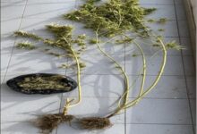 Σύλληψη-γνωστού-επιχειρηματία-στα-Τρίκαλα-για-υπόθεση-ναρκωτικών