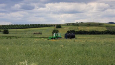 ΟΠΕΚΕΠΕ:-Δεν-επηρεάζεται-η-πληρωμή-της-βασικής-ενίσχυσης-από-τα-αποτελέσματα-του-συστήματος-ams-για-τα-συνδεδεμένα-καθεστώτα
