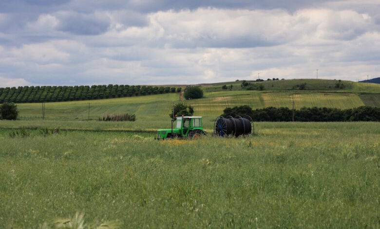 ΟΠΕΚΕΠΕ:-Δεν-επηρεάζεται-η-πληρωμή-της-βασικής-ενίσχυσης-από-τα-αποτελέσματα-του-συστήματος-ams-για-τα-συνδεδεμένα-καθεστώτα